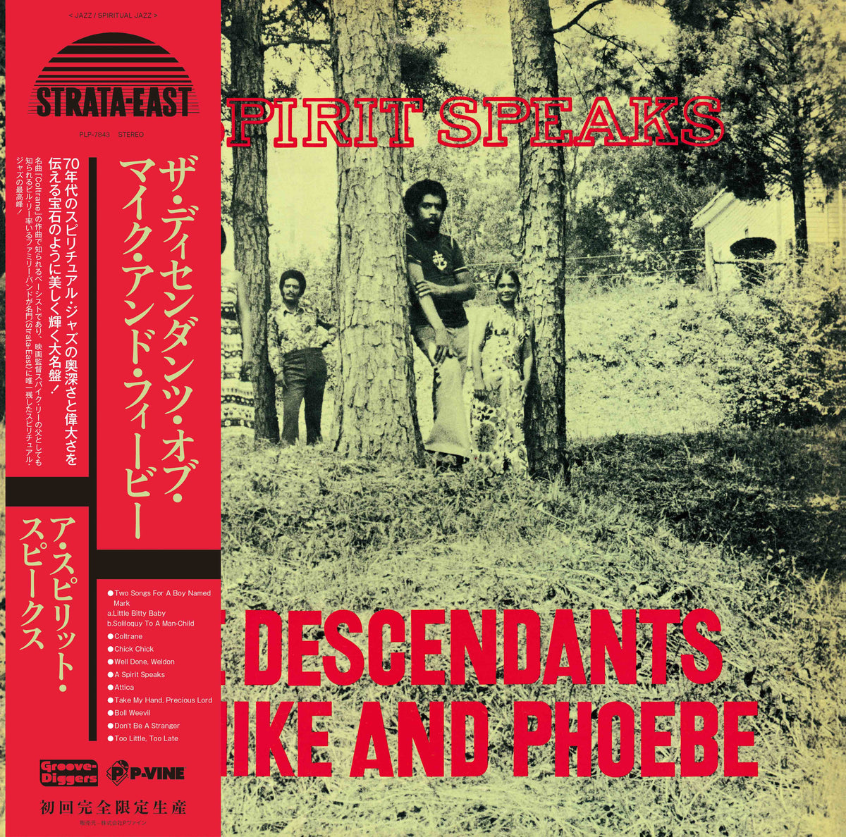 THE DESCENDANTS OF MIKE AND PHOEBE『A Spirit Speaks』LP – P-VINE 