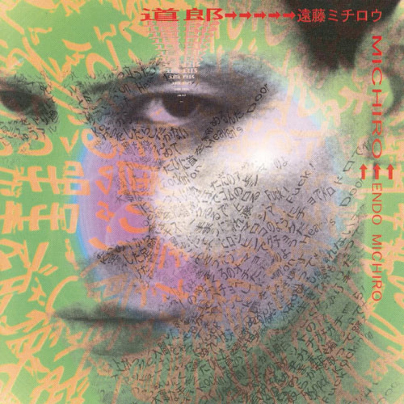 遠藤ミチロウ『道郎』2LP