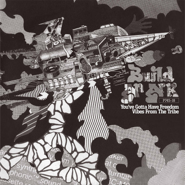 BUILD AN ARK『You've Gotta Have Freedom / Vibes From The Tribe』7inch