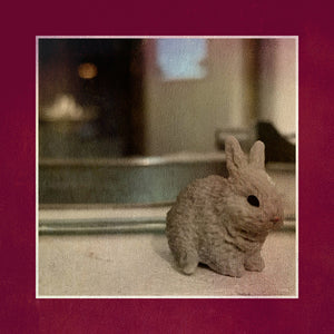 downt 『Underlight & Aftertime』CD