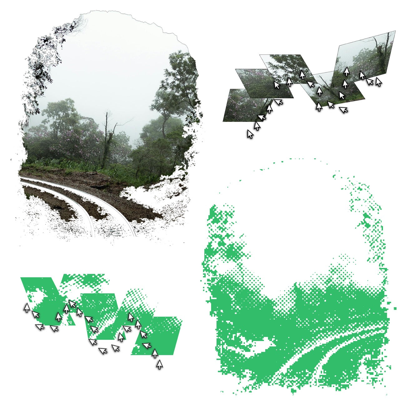 swimrabbit "CONNECT" CD